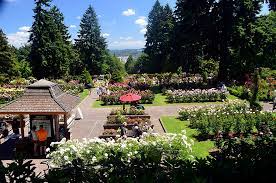 Portland International Rose Test Garden