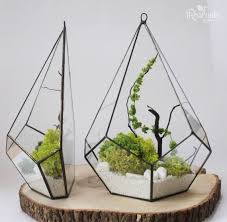 Geometric Terrarium Wall Crystal