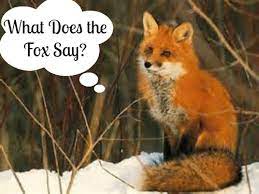 What Does What Does The Fox Say Mean gambar png