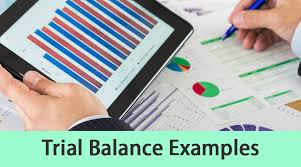 Trial Balance Examples Real Life Example Of Trial Balance