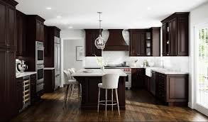 kitchens with dark cabinets