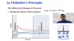 How Do You Graph Le Chateliers Principle Socratic