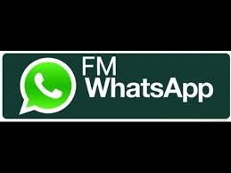 You can enjoy features like themes, disabling read receipts/blue ticks, sending more than 10 files at once, the maximum file size limit of 100mb, and many more. Download Fmwhatsapp Apk Fouad V14 11 2 2021 Latest