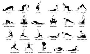 yoga poses images browse 903 506