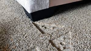 remove those pesky carpet dents