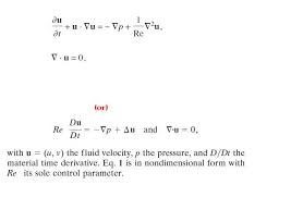 2d Incompressible Navier Stokes In Non