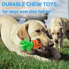 dorpetly dog toys indestructible dog