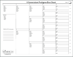 15 Generation Pedigree Chart Free Onourway Co