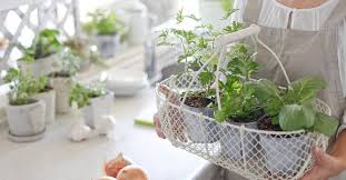 diy container vegetable gardening at