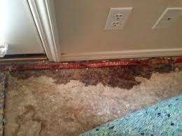 mold when to be concerned asbestos