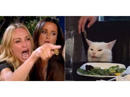 Check spelling or type a new query. Woman Yelling At Cat How Smudge The Cat Became The Best Meme Of 2019