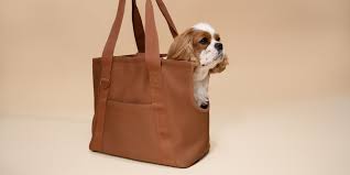 best dog carriers for travel according