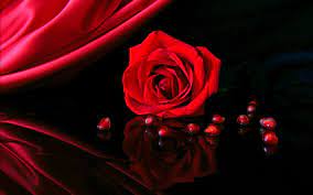 Roses Wallpaper Hd Love Heart 3d ...