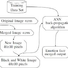 Flow Chart Of Facial Emotion Detection Algorithm Download