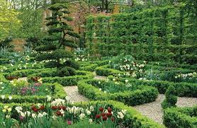 Glorious Hedges Gallery Garden Design