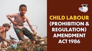 child labour prohibition regulation