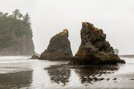 Sea Stacks Picture Of Ruby Beach Olympic National Park