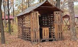 What is the cheapest shed to build?