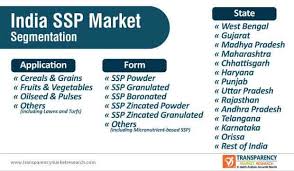 india ssp market industry report 2030