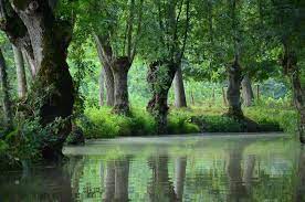 l embarcadere le paradis du marais