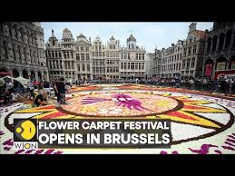 flower carpet festival opens in