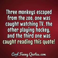 Discover and share funny monkey quotes and sayings. Monkey Quotes Images