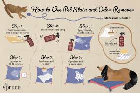 how to use pet stain and odor remover