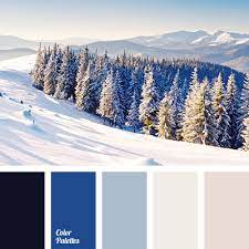 winter color palette color palette ideas