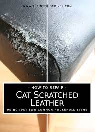 how to repair cat scratched leather