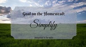 homestead goal simplify homestead in