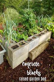 raised bed vegetable garden concrete
