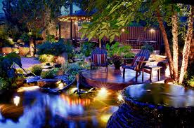 Backyard Paradise Tropical Garden