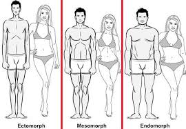 What is your body type? The Best Diets And Workouts For Your Body Type Legion Athletics Ectomorph Workout Best Diets Mommy Workout