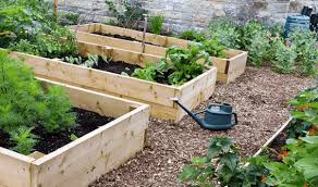 How To Build A Raised Garden Bed 2022