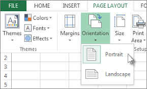 Print A Worksheet In Landscape Or Portrait Orientation Excel
