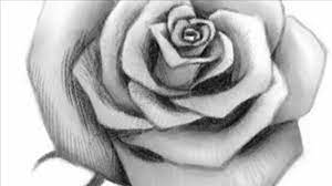 how to draw an open rose you