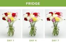 Do flowers last longer in the fridge?
