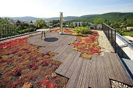 A Rooftop Deck Surrounded By A Moss Garden