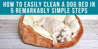 how to easily clean a dog bed in 5