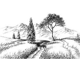 pencil drawing forest vector images