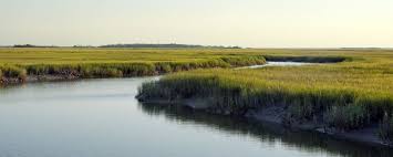 Marhes Of The Glynn Sidney Lanier Hymns Of The Marshes