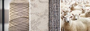 custom carpets from the scott group