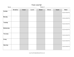 Printable Food Diary Form Under Fontanacountryinn Com