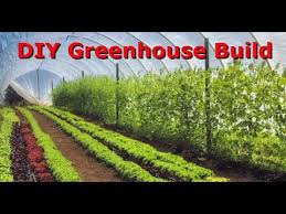 Inexpensive Greenhouse Diy