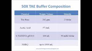 comparison of tae and tbe buffers used