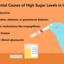 high levels of sugar in urine causes
