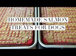 homemade salmon treats for dogs