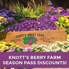 2020 knott s berry farm season p now