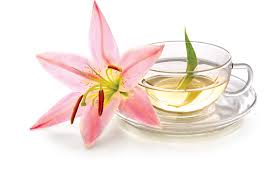 As the darkness starts to take over in the desert, a floral smell becomes so intoxicating. White Tea Lily Glade Fragrances