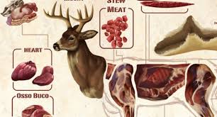 Rates Ansteads Deer Processing For Indiana Ohio And Michigan